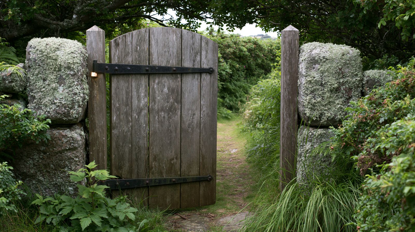 A weathered wooden garden gate standing ajar between lichen-covered stone posts, an overgrown path curving away into dense foliage