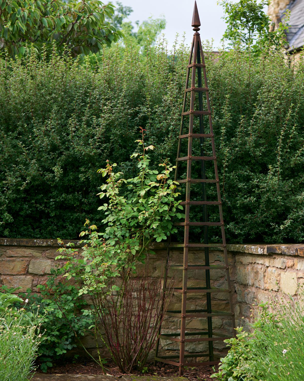 A tall tapered iron garden obelisk with a spire finial rusted dark at its lower rungs, a climbing rose partway up it against a stone wall